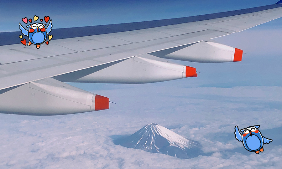 上空から「富士山」が見えたよ！！