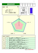 SR解析機能図