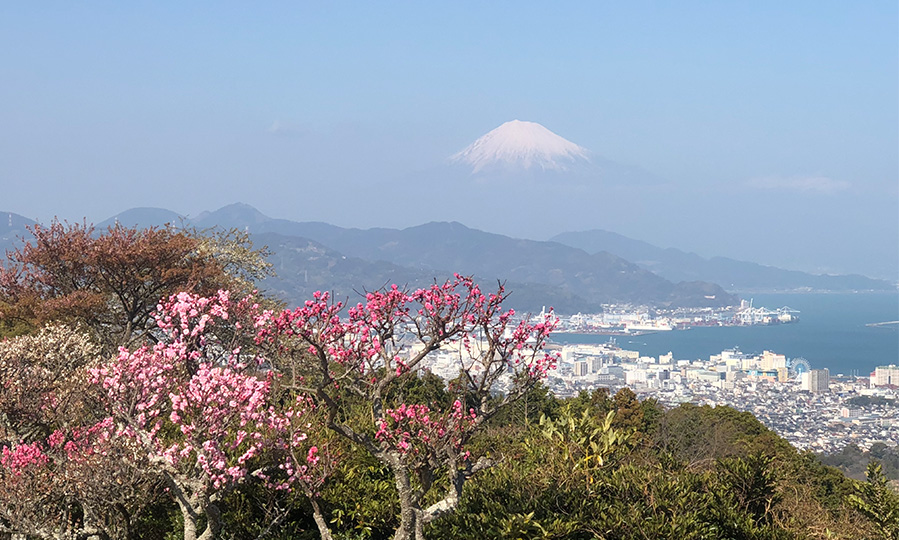 日本平からの富士山と駿河湾