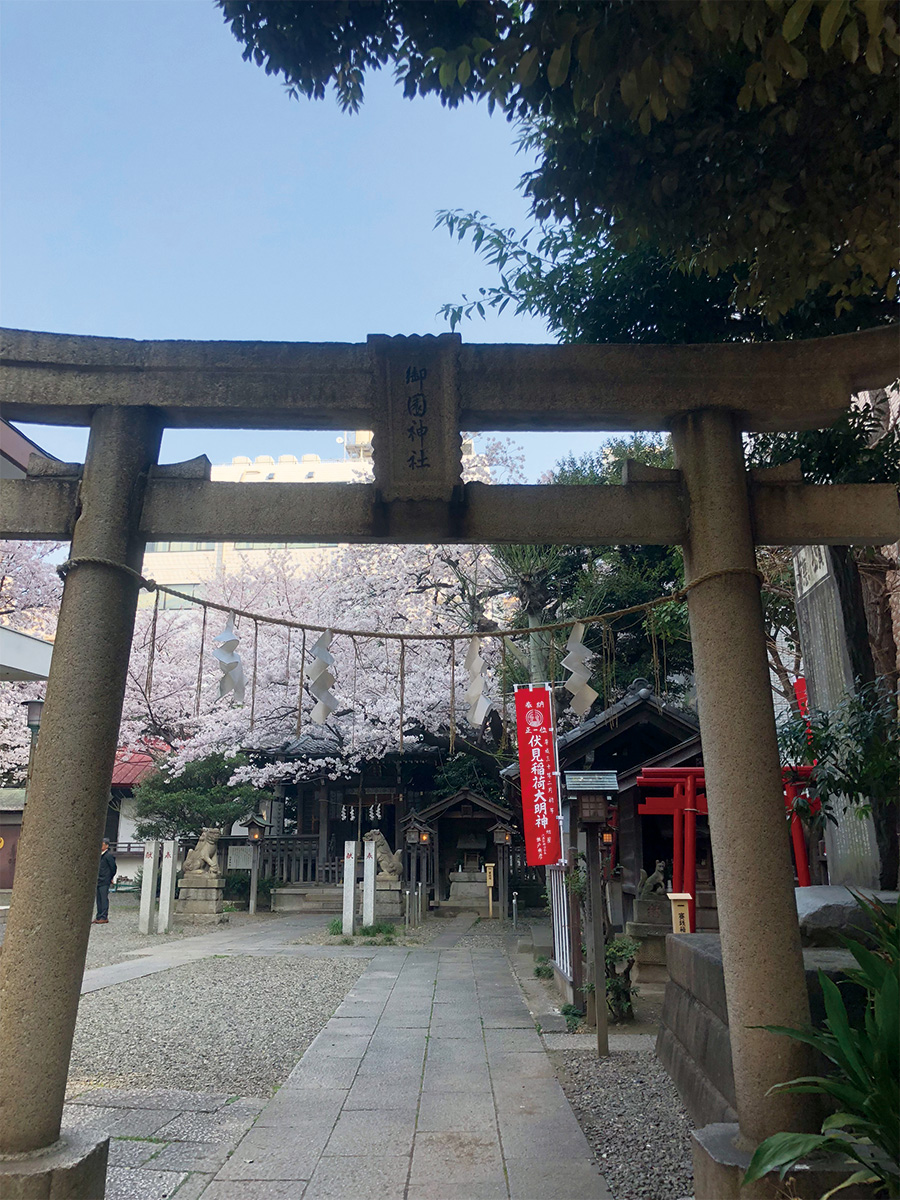 御園神社入り口から見た桜