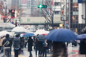 運転中にゲリラ豪雨に遭遇した時の対処方法