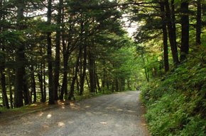 坂道・山道運転のコツ